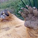 ���� ��������, �������, 55 ��� - ��������� 13 �������� 2017 � ������ ������� ���..�