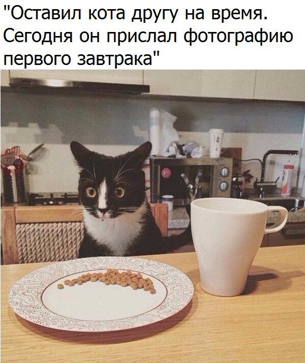  - 16  2017  19:40