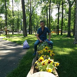 �����, ����, 56 ���