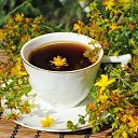 ���� ����, �������, 63 ���� - ��������� 21 ���� 2017 � ������ ���� ����������