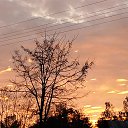 ���� Alex, ����, 53 ���� - ��������� 14 ��� 2017 � ������ ���� ����������