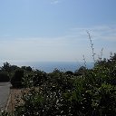  , , 60  -  6  2017   , , ,06.08.17.