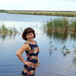 ���� �������, ������������, 51 ��� - ��������� 29 ���� 2017