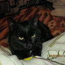 ���� ������, ������, 46 ��� - ��������� 3 ������� 2017 � ������ ���� ����������