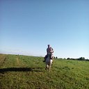 ���� Aleksandr, �����-��������� - ��������� 22 ������� 2017 � ������ ���� ����������
