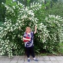  , , 35  -  6  2017   ߻