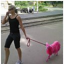 ���� Mihail, ���������, 30 ��� - ��������� 26 ��� 2017 � ������ ������ ��������