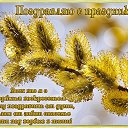 ���� ������, ����� - ��������� 9 ������ 2017 � ������ ������