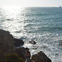 �.����� ���� �� ������� ���� ����������