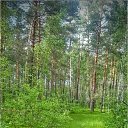  , -, 53  -  10  2017    