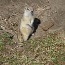 ���� ����, ����������, 57 ��� - ��������� 29 ������ 2017 � ������ ������ 2017�