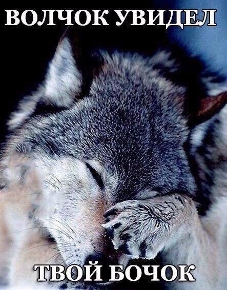 SportFeed - 3  2017  04:39