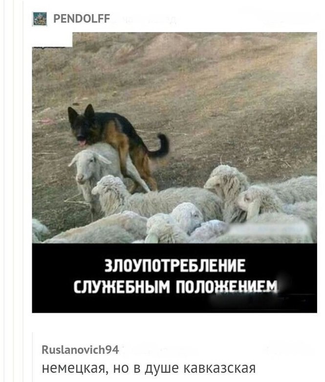 ���� - 18 ������� 2017 � 02:27