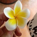 ���� ��������, �������, 74 ���� - ��������� 23 ��� 2017 � ������ �������.��������.��������.(04.2017.)�