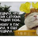 ���� Marina, ��������� - ��������� 25 �������� 2017 � ������ ������ ��������