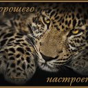 ���� ������, �����������-��-����� - ��������� 14 �������� 2017 � ������ ���� ����������