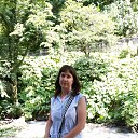 ���� ����������, ������-��-����, 41 ��� - ��������� 15 ���� 2017 � ������ ������ ��������