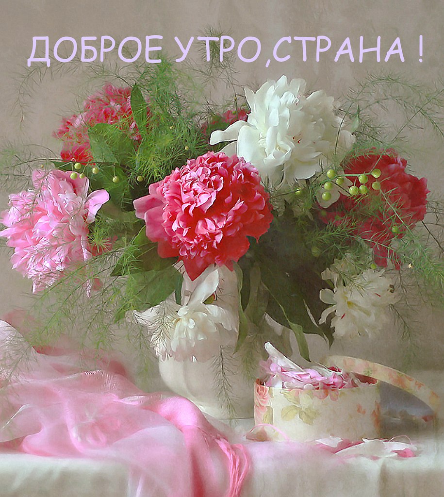 Каждое утро должно начинаться с улыбки и хорошего настроения . Пусть ваше утро будет добрым и ...