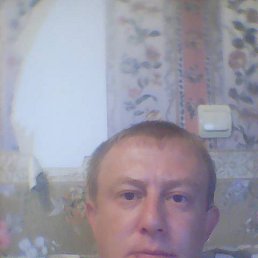 �����, ����������, 43 ����