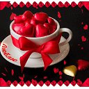 ���� ������, �������� - ��������� 12 ��� 2017 � ������ ������