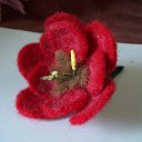  , -, 78  -  31  2017    