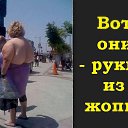 ���� ������, �������, 39 ��� - ��������� 24 ������� 2017 � ������ ���� ����������