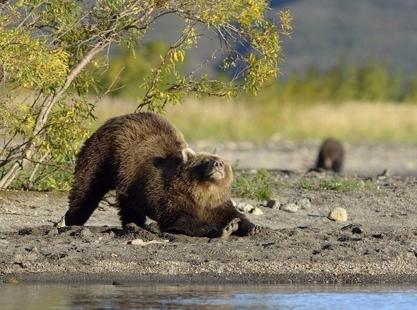 ����� ����� ��� 