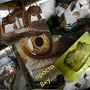  , -, 55  -  18  2017    