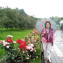 ���� ������, �����-���������, 79 ��� - ��������� 6 ������� 2017 � ������ ���� ����������