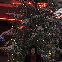 ������ 2017 �. �������� ���� � ��������� �� ������� ���� ����������