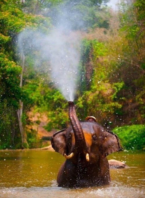 ��� � ��� � � ��������, � ���������� �����. �, � ���� ��������, �������� �� ���: �� � ��� � �� ����� ... - 4