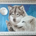 ��������, ������ � ������� �� ������� ���� �������