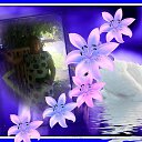 ���� �����, �����, 56 ��� - ��������� 15 ���� 2017 � ������ ���� ����������