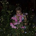 ���� �������, ���� - ��������� 17 ���� 2017 � ������ ���� ����������