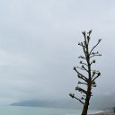  , , 69  -  27  2017   . 