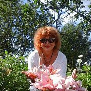 �������, , �������