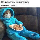 � �������))