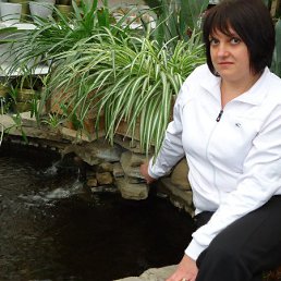 ��������, ���������, 49 ���