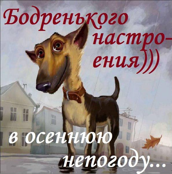 ����� - 2 ������� 2017 � 08:54