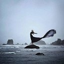 ���� ������..)), ������, 52 ���� - ��������� 14 ���� 2017 � ������ ������ ��������