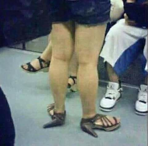  ...)))))