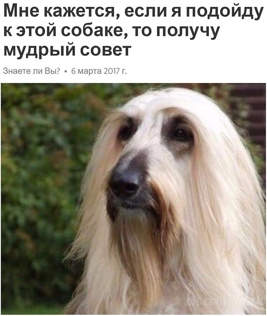  - 25  2017  03:39