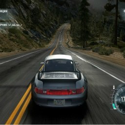 ��������, ����, 49 ���