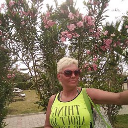 ���� �����, �����-���������, 56 ��� - ��������� 26 ��� 2017