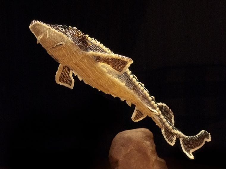     ,    , -.    ... - 14