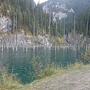 ���� �����., ������, 38 ��� - ��������� 11 �������� 2017 � ������ ���� ����������