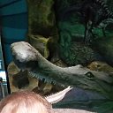 ���� ���, ������, 56 ��� - ��������� 9 ������� 2017 � ������ ���� ����������