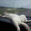 ��� �� �����))) �� ������� ���� ����������