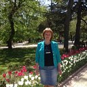 ����, ��������. ��� 2017 �. �� ������� ���� ����������