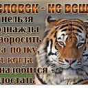 ���� ����, ��������, 47 ��� - ��������� 20 ������� 2017 � ������ ������ ��������